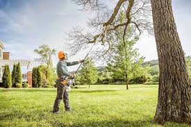 Best Tree Planting Services  in Blaine, WA